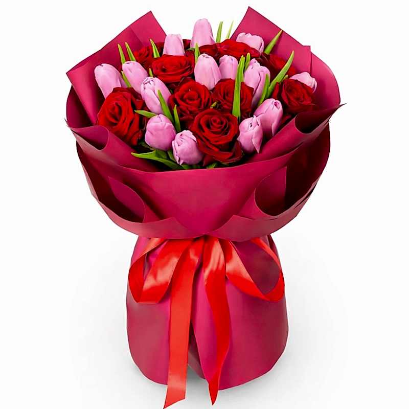 Kiraz �i�e�i - K�rm�z� G�l pembe Lale