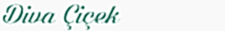 logo2