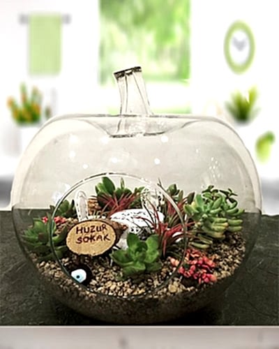elma-fanus-terrarium-aranjman